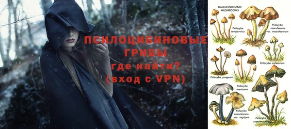 твердый Абинск